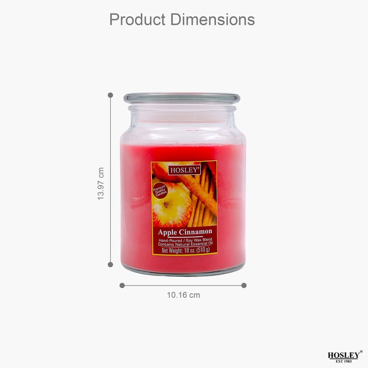 HOSLEY Apple Cinnamon Scented Jar Candle