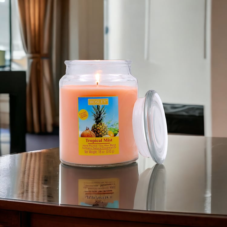 HOSLEY Tropical Mist Scented Jar Candle