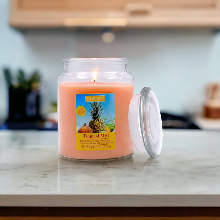 HOSLEY Tropical Mist Scented Jar Candle