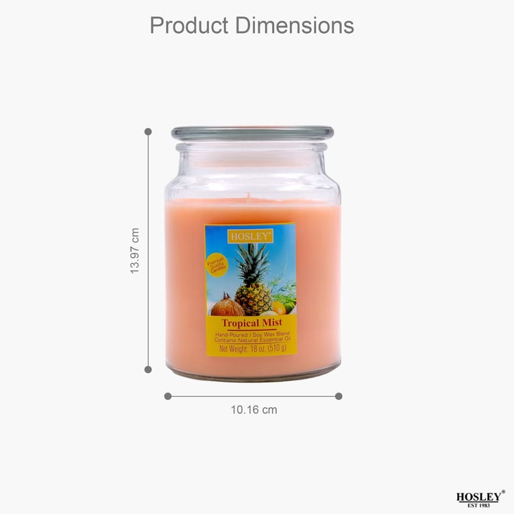 HOSLEY Tropical Mist Scented Jar Candle