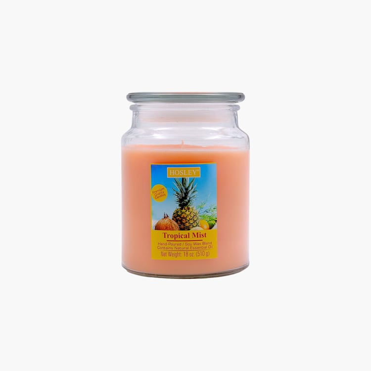 HOSLEY Tropical Mist Scented Jar Candle