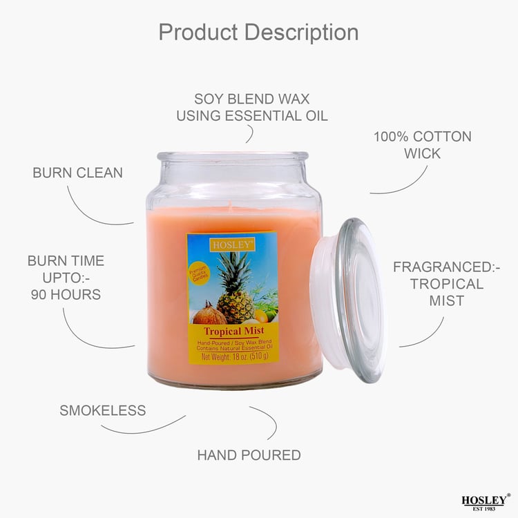 HOSLEY Tropical Mist Scented Jar Candle