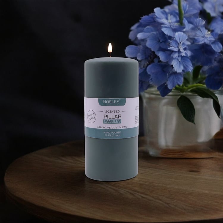 HOSLEY Eucalyptus Mint Scented Pillar Candle