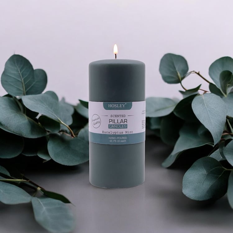 HOSLEY Eucalyptus Mint Scented Pillar Candle