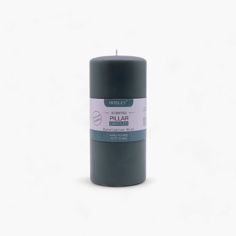 HOSLEY Eucalyptus Mint Scented Pillar Candle