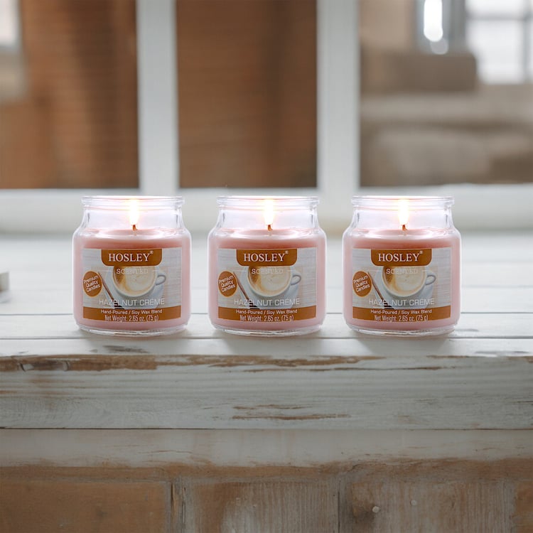HOSLEY Set of 3 Hazelnut Creme Scented Jar Candles