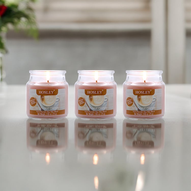 HOSLEY Set of 3 Hazelnut Creme Scented Jar Candles