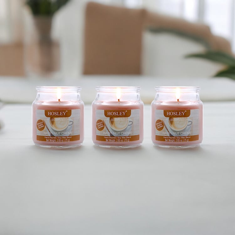 HOSLEY Set of 3 Hazelnut Creme Scented Jar Candles