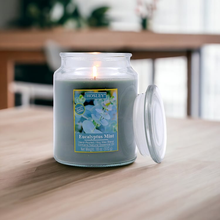 HOSLEY Eucalyptus Mint Scented Jar Candle