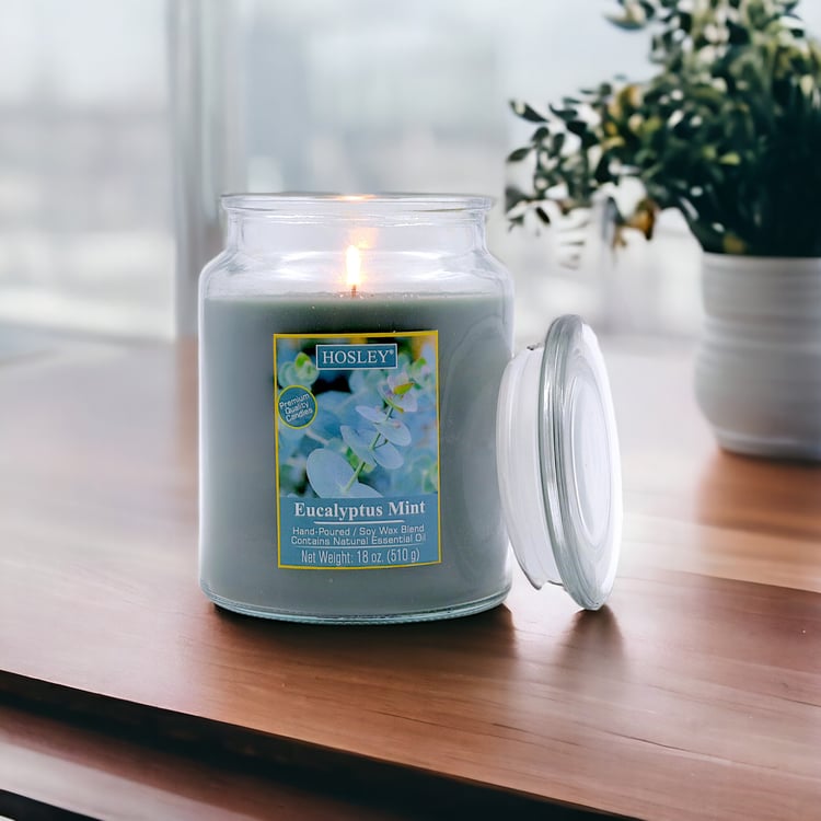 HOSLEY Eucalyptus Mint Scented Jar Candle