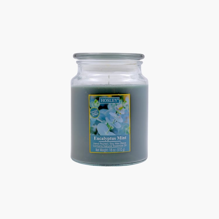 HOSLEY Eucalyptus Mint Scented Jar Candle