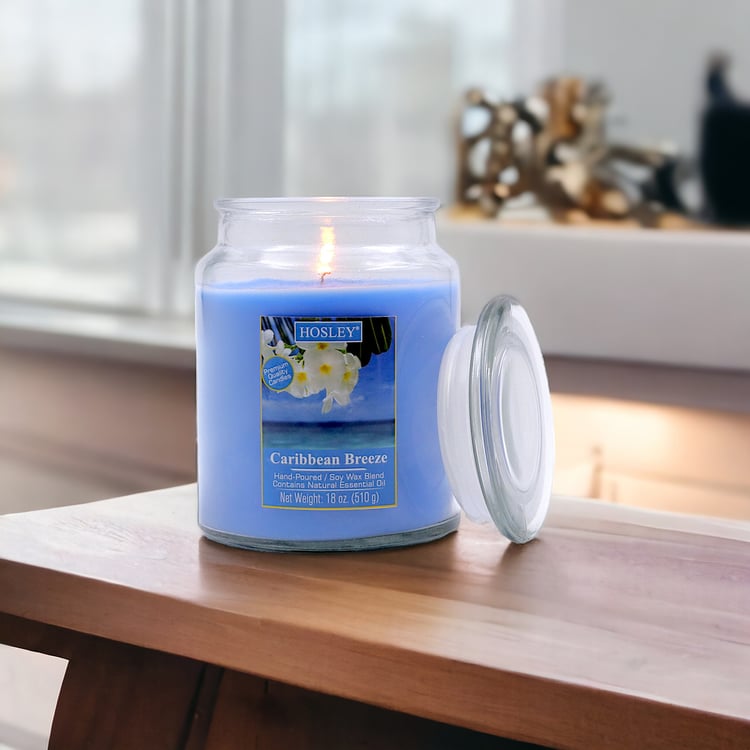 HOSLEY Caribbean Breeze Scented Jar Candle