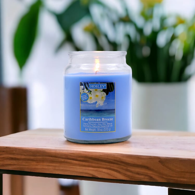 HOSLEY Caribbean Breeze Scented Jar Candle