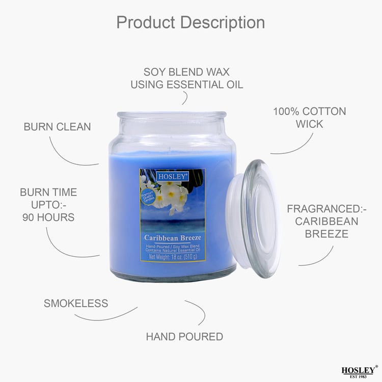 HOSLEY Caribbean Breeze Scented Jar Candle