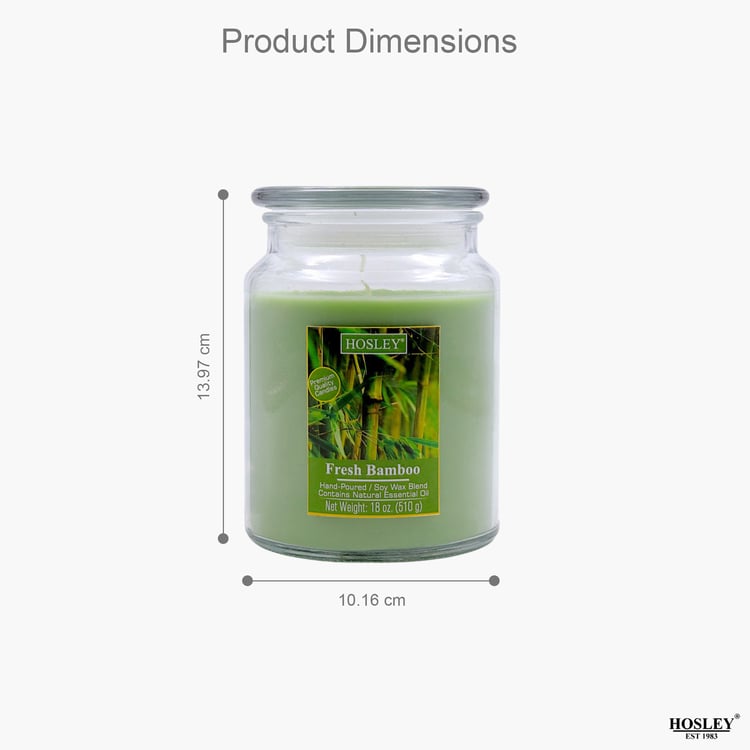 HOSLEY Fresh Bamboo Scented Jar Candle