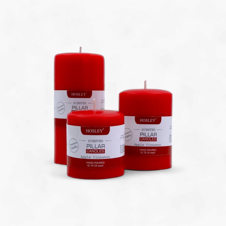 HOSLEY Set of 3 Apple Cinnamon Scented Pillar Candles