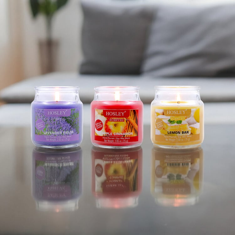 HOSLEY Set of 3 Multi Scented Jar Candles