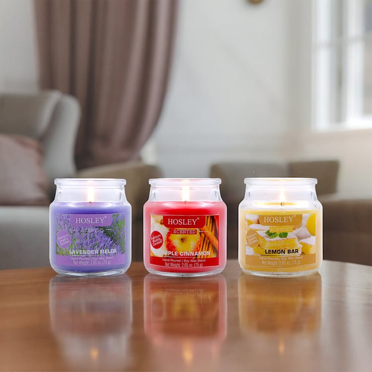 HOSLEY Set of 3 Multi Scented Jar Candles