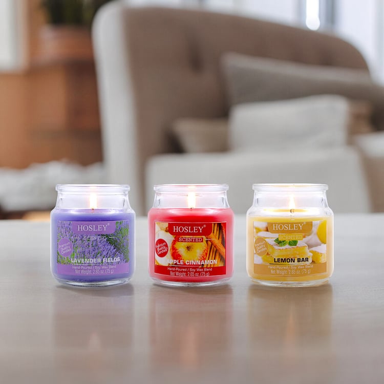 HOSLEY Set of 3 Multi Scented Jar Candles