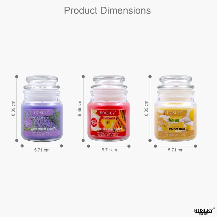 HOSLEY Set of 3 Multi Scented Jar Candles