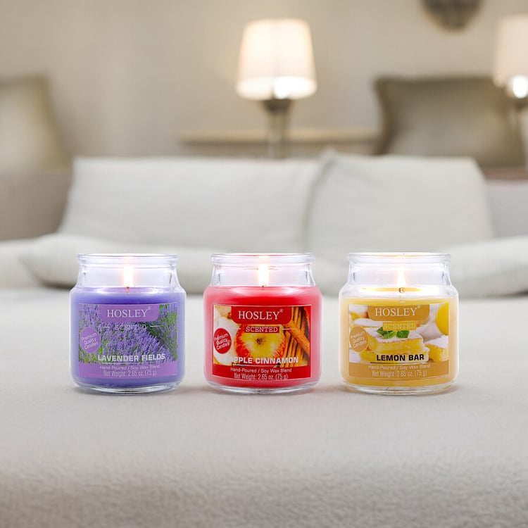 HOSLEY Set of 3 Multi Scented Jar Candles