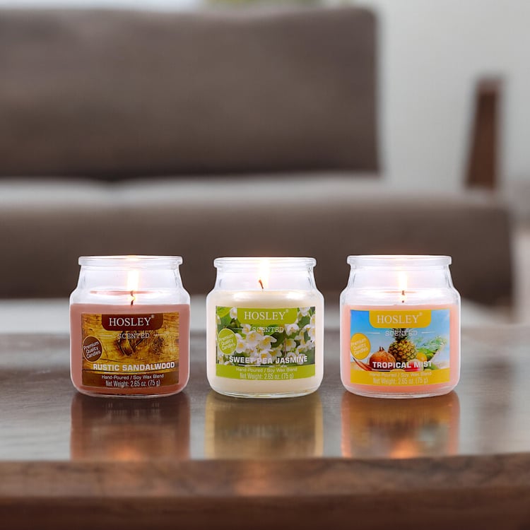 HOSLEY Set of 3 Multi Scented Jar Candles