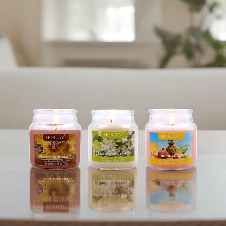 HOSLEY Set of 3 Multi Scented Jar Candles