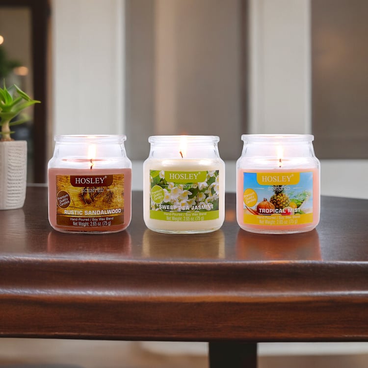 HOSLEY Set of 3 Multi Scented Jar Candles