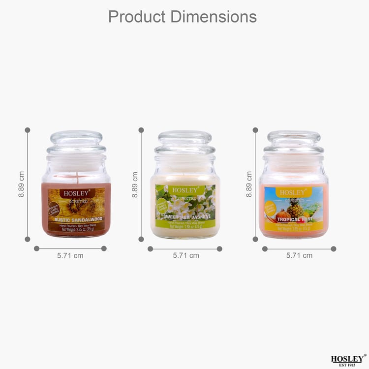 HOSLEY Set of 3 Multi Scented Jar Candles