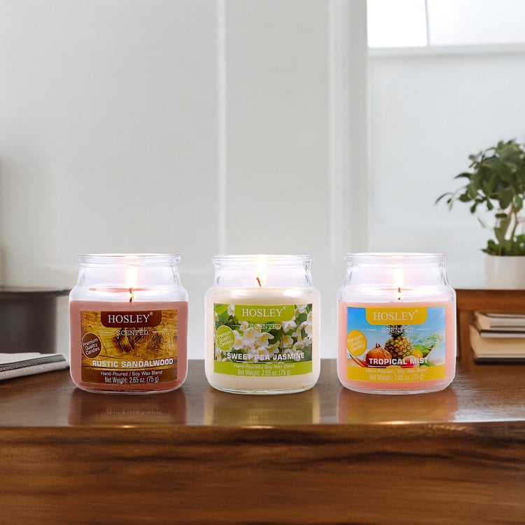 HOSLEY Set of 3 Multi Scented Jar Candles