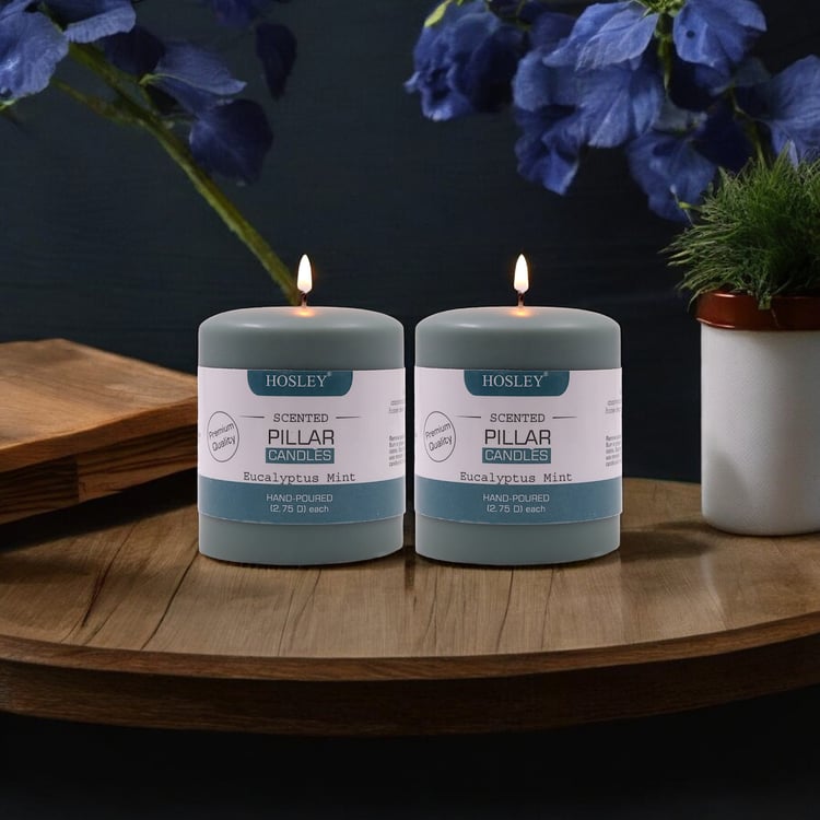 HOSLEY Set of 2 Eucalyptus Mint Scented Pillar Candles