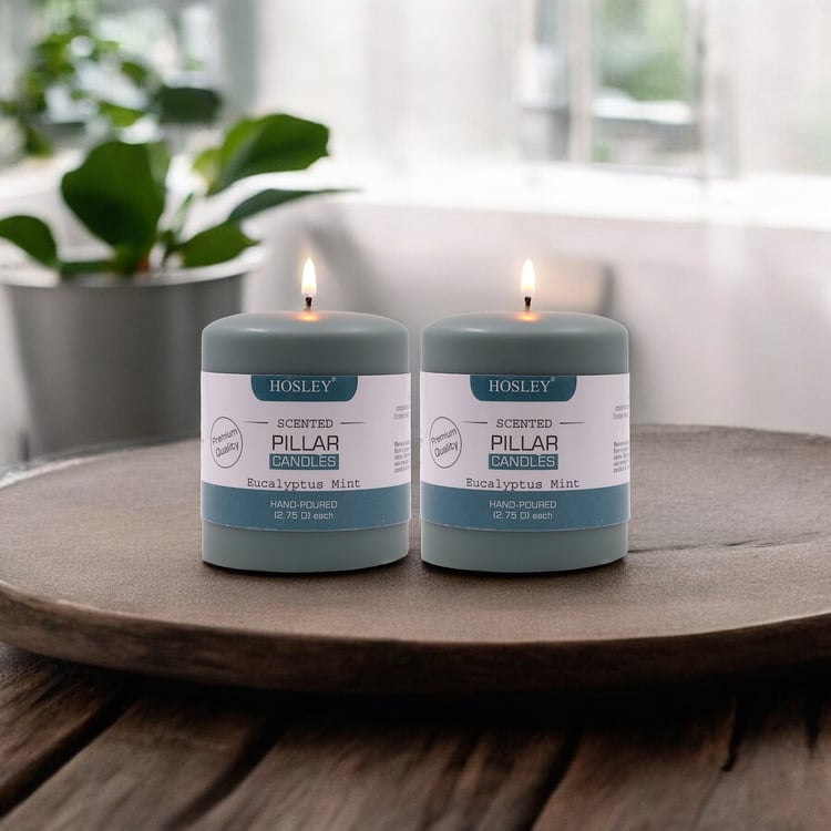 HOSLEY Set of 2 Eucalyptus Mint Scented Pillar Candles