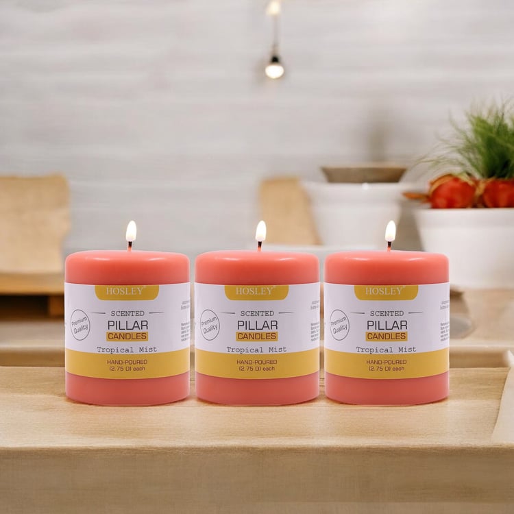 HOSLEY Set of 3 Tropical Mist Scented Pillar Candles