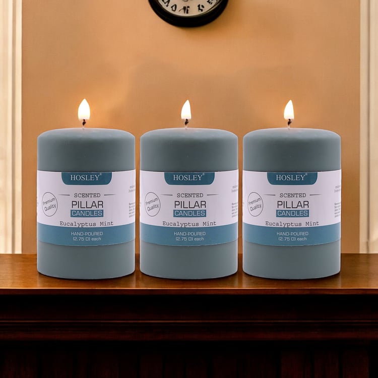 HOSLEY Set of 3 Eucalyptus Mint Scented Pillar Candle