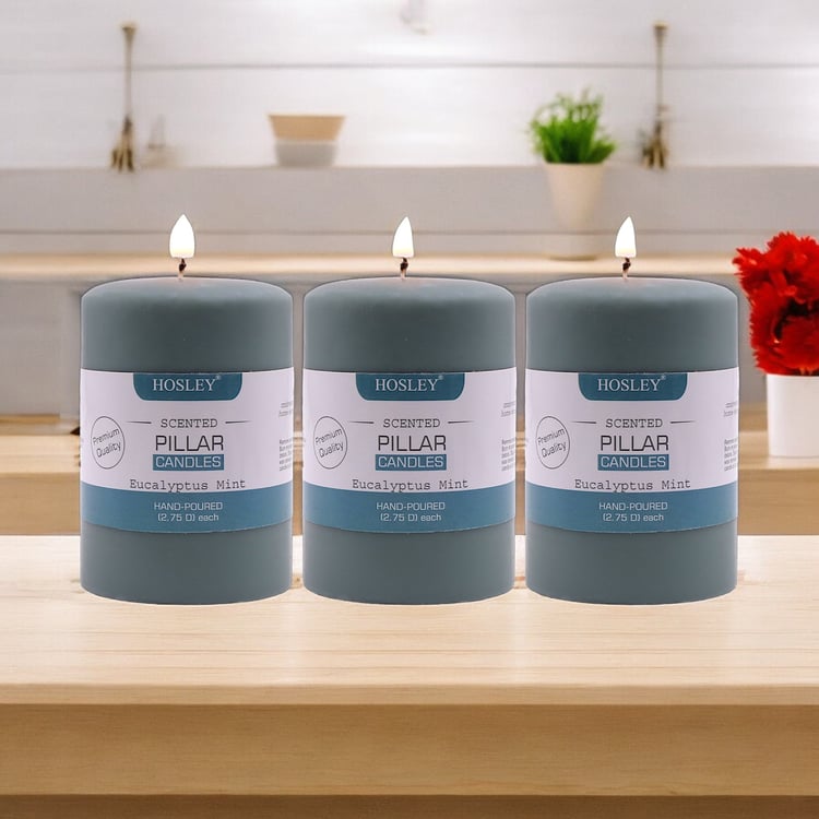 HOSLEY Set of 3 Eucalyptus Mint Scented Pillar Candle