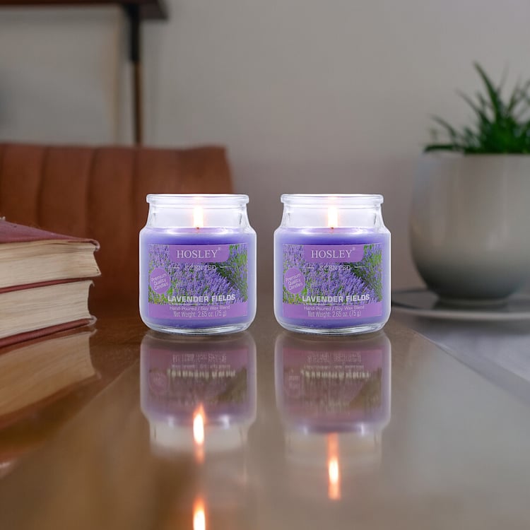 HOSLEY Set of 2 Lavender Fields Scented Jar Candles