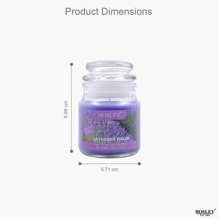 HOSLEY Set of 2 Lavender Fields Scented Jar Candles