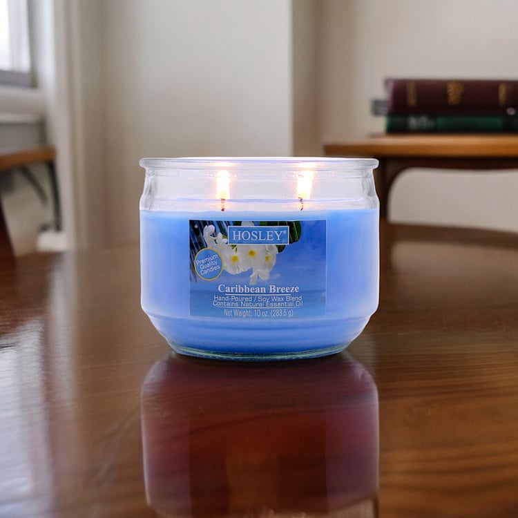 HOSLEY Caribbean Breeze Scented Jar Candle