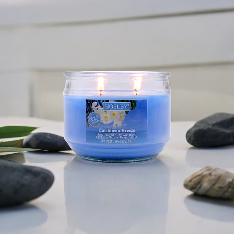 HOSLEY Caribbean Breeze Scented Jar Candle