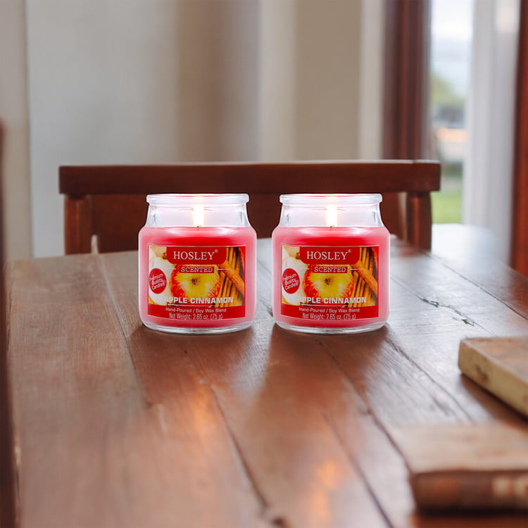 HOSLEY Set of 2 Apple Cinnamon Scented Jar Candles