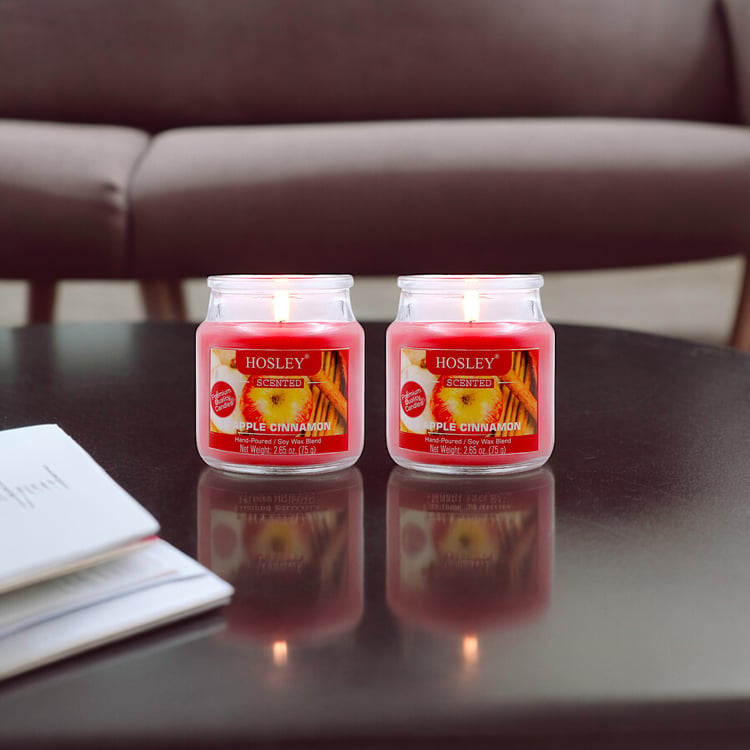 HOSLEY Set of 2 Apple Cinnamon Scented Jar Candles