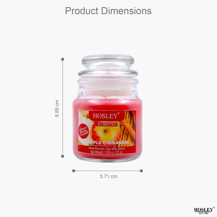 HOSLEY Set of 2 Apple Cinnamon Scented Jar Candles