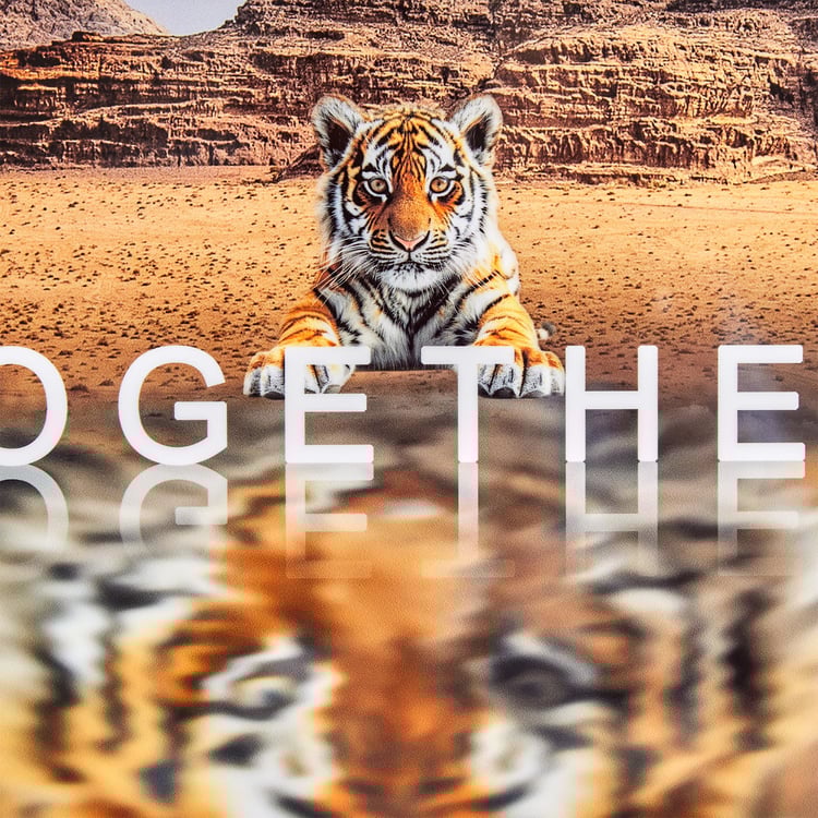 Aura Motive Wooden Tiger Print Picture Frame - 60x20cm