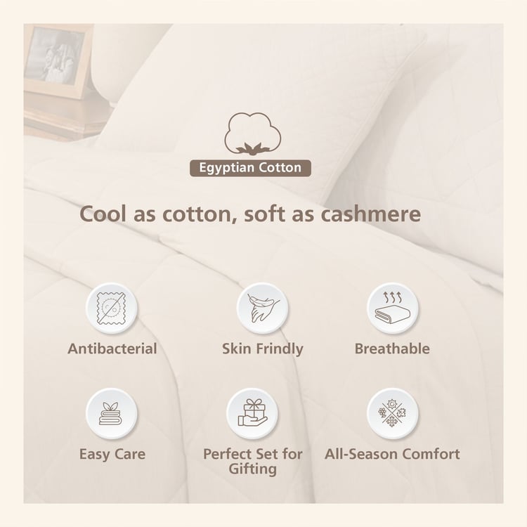 MASPAR Cotsmere Cotton 8Pcs Quilted Double Bed-In-A-Bag Set