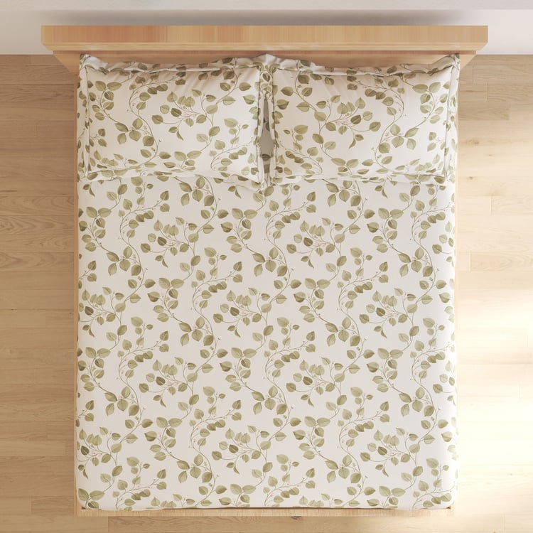 Juniper Elsing Printed 3Pcs Queen Bedsheet Set