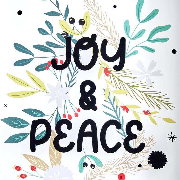 Spectrum Zippy Joy Print Picture Frame - 25x35cm