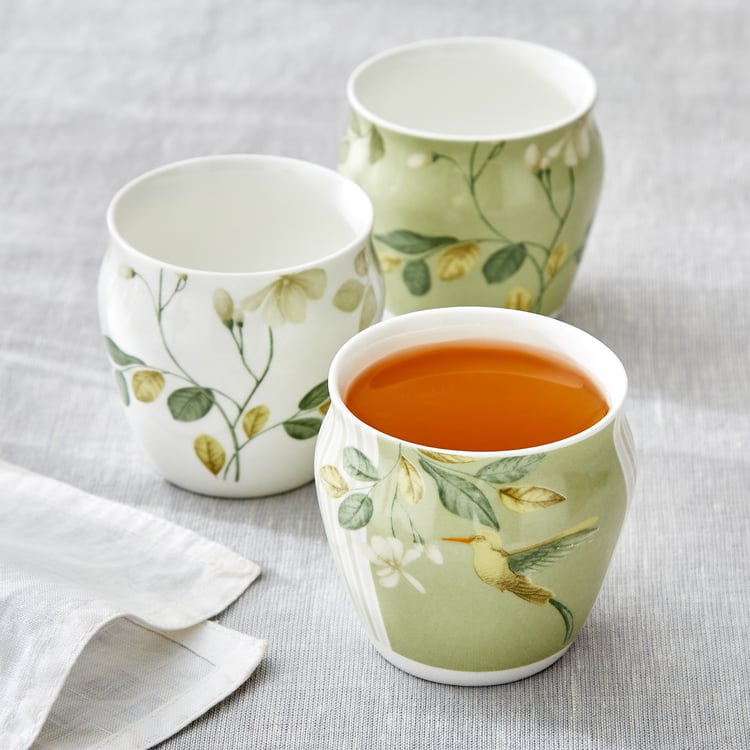 Mandarin Botanica Set of 3 Bone China Printed Kulhads - 240ml