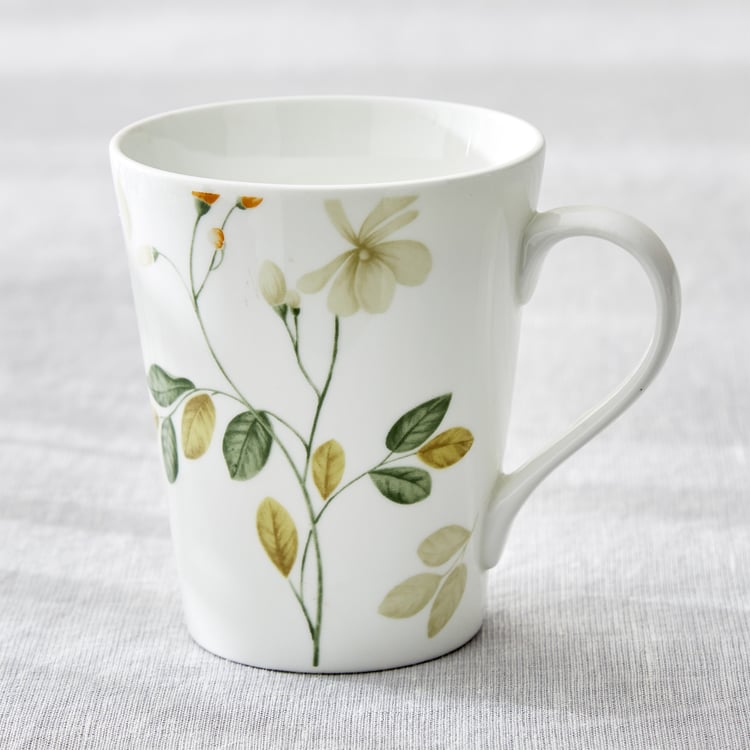 Mandarin Botanica Set of 3 Bone China Printed Coffee Mugs - 340ml