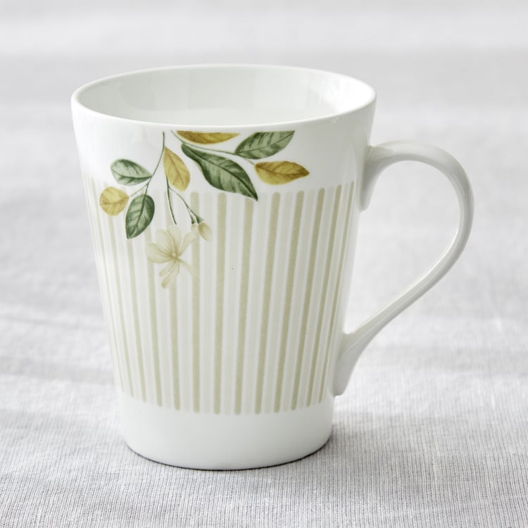 Mandarin Botanica Set of 3 Bone China Printed Coffee Mugs - 340ml