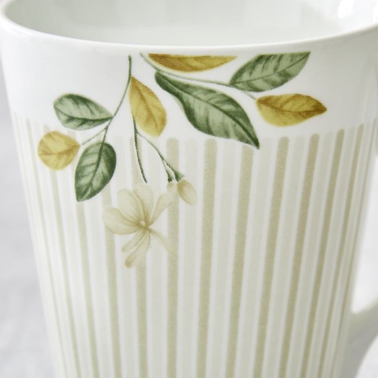 Mandarin Botanica Set of 3 Bone China Printed Coffee Mugs - 340ml